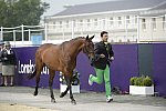 Olympics-EVJg-7-27-12-0564-MarcioCarvalhoJorge-Josephine-BRA-DDeRosaPhoto