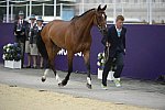 Olympics-EVJg-7-27-12-0647-NiklasLinback-MisterPooh-SWE-DDeRosaPhoto