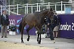 Olympics-EVJg-7-27-12-0653-LudvigSvennerstal-Shamwari-SWE-DDeRosaPhoto