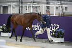 Olympics-EVJg-7-27-12-0703-AndreiKorshunov-Fabiy-RUS-DDeRosaPhoto
