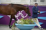 Olympics-EVJg-7-27-12-0705-AndreiKorshunov-Fabiy-RUS-DDeRosaPhoto