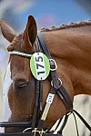 Olympics-EVJg-7-27-12-0324-MrMedicott-DDeRosaPhoto