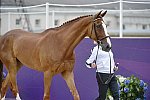 Olympics-EVJg-7-27-12-0373-KarenOConnor-MrMedicott-DDeRosaPhoto