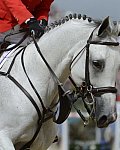 Olympics-SJ-Ind-8-4-12-4250-McLainWard-Antares-USA-DDeRosaPhoto