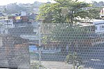 Olympics-RIO-8-15-16-7956-DDeRosaPhoto