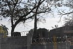 Olympics-RIO-8-15-16-7990-DDeRosaPhoto