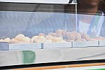 Olympics-RIO-8-15-16-8094-DDeRosaPhoto