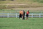 Olympics-7-4-16-0611-DDeRosaPhoto