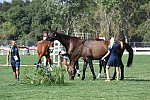 Olympics-7-4-16-0616-DDeRosaPhoto