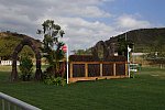 Olympics-7-4-16-0648-DDeRosaPhoto