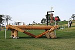 Olympics-7-4-16-0657-DDeRosaPhoto