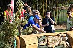 Olympics-7-4-16-0730-DDeRosaPhoto