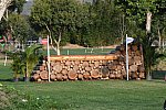 Olympics-7-4-16-0804-DDeRosaPhoto