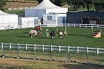 Olympics-7-4-16-0851-DDeRosaPhoto