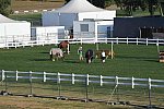 Olympics-7-4-16-0852-DDeRosaPhoto