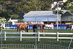 Olympics-7-4-16-0877-DDeRosaPhoto