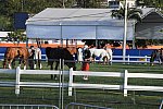 Olympics-7-4-16-0879-DDeRosaPhoto