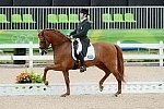 Olympics-RIO-DRE-8-10-16-1187-ClaudioCastillaRuiz-Alcaide-ESP-DDeRosaPhoto