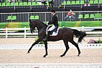 Olympics-RIO-DRE-GP-8-9-16-2469-AndersDahl-SEltenHW-DEN-AndersDahl-SeltenHW-DEN-DDeRosaPhoto