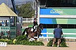 Olympics-RIO-DRE-Awards-IND-8-15-16-1136-DDeRosaPhoto