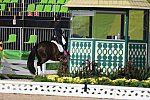 Olympics-RIO-DRE-Awards-IND-8-15-16-1211-DDeRosaPhoto