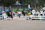 Olympics-DRE-TM-Awards-8-12-16-7258-DDeRosaPhoto