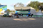 Olympics-DRE-TM-Awards-8-12-16-7709-DDeRosaPhoto