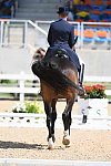 Olympics-RIO-DRE-8-11-16-5601-SteffenPeters-Legolas92-USA-DDeRosaPhoto