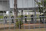 Olympics-RIO-SJ-2ndQual-Rnd1TM-8-16-16-5801-DDeRosaPhoto