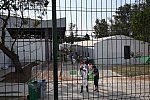 Olympics-RIO-SJ-2ndQual-Rnd1TM-8-16-16-5758-DDeRosaPhoto