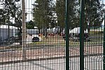 Olympics-RIO-SJ-2ndQual-Rnd1TM-8-16-16-5761-DDeRosaPhoto