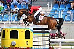 Olympics-SJ-4thQual-A-Rnd3-Ind-8-19-16-9941-McLainWard-Azur-USA-DDeRosaPhoto