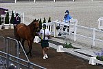 OLY-2020-DRESSAGE-JOG-7-24-21-0718-101-Mary Hanna-Calanta-AUS-DDEROSAPHOTO