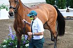 OLY-2020-DRESSAGE-JOG-7-24-21-0721-101-Mary Hanna-Calanta-AUS-DDEROSAPHOTO