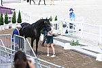 OLY-2020-DRESSAGE-JOG-7-24-21-0729-103-SIMONE PEARCE-DESTANO-AUS-DDEROSAPHOTO
