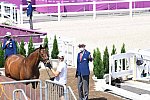 OLY-2020-DRESSAGE-JOG-7-24-21-0737-104-FLORIAN BACHER-FIDERTRAUM-AUT-DDEROSAPHOTO
