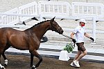 OLY-2020-DRESSAGE-JOG-7-24-21-0743-104-FLORIAN BACHER-FIDERTRAUM-AUT-DDEROSAPHOTO