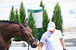 OLY-2020-DRESSAGE-JOG-7-24-21-0744-104-FLORIAN BACHER-FIDERTRAUM-AUT-DDEROSAPHOTO