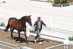 OLY-2020-DRESSAGE-JOG-7-24-21-0766-108-ALEXA FAIRCHILD-DABANOS D'04-BEL-DDEROSAPHOTO