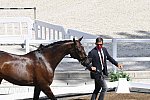 OLY-2020-DRESSAGE-JOG-7-24-21-0768-108-ALEXA FAIRCHILD-DABANOS D'04-BEL-DDEROSAPHOTO