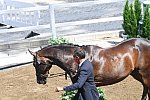 OLY-2020-DRESSAGE-JOG-7-24-21-0770-108-ALEXA FAIRCHILD-DABANOS D'04-BEL-DDEROSAPHOTO