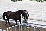 OLY-2020-DRESSAGE-JOG-7-24-21-0773-109-DOMIEN MICHIELS-INTERMEZZO VAN HET MEERDA-BEL-DDEROSAPHOTO