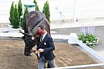 OLY-2020-DRESSAGE-JOG-7-24-21-0776-109-DOMIEN MICHIELS-INTERMEZZO VAN HET MEERDA-BEL-DDEROSAPHOTO