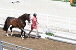 OLY-2020-DRESSAGE-JOG-7-24-21-0785-111-LAURENCE ROOS-FIL ROUGE-BEL-DDEROSAPHOTO