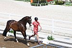 OLY-2020-DRESSAGE-JOG-7-24-21-0786-111-LAURENCE ROOS-FIL ROUGE-BEL-DDEROSAPHOTO