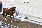 OLY-2020-DRESSAGE-JOG-7-24-21-0808-113-BEAULIEU B FRASER-ALL IN-CAN-DDEROSAPHOTO
