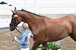 OLY-2020-DRESSAGE-JOG-7-24-21-0812-113-BEAULIEU B FRASER-ALL IN-CAN-DDEROSAPHOTO