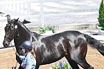 OLY-2020-DRESSAGE-JOG-7-24-21-0827-115-LALIBERTE MOREIRA-STATESMAN-CAN-DDEROSAPHOTO