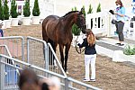 OLY-2020-DRESSAGE-JOG-7-24-21-0839-117-VIRGINIA YARUR-RONALDO-CHI-DDEROSAPHOTO