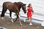 OLY-2020-DRESSAGE-JOG-7-24-21-0851118-CATHRINE DUFOUR-BOHEMIAN-DEN-DDEROSAPHOTO